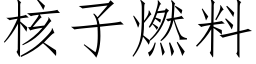 核子燃料 (仿宋矢量字庫)