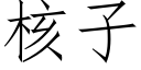 核子 (仿宋矢量字庫)