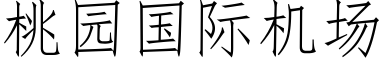 桃園國際機場 (仿宋矢量字庫)