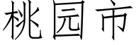 桃园市 (仿宋矢量字库)