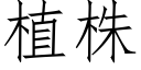 植株 (仿宋矢量字库)