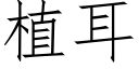 植耳 (仿宋矢量字庫)