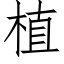 植 (仿宋矢量字库)