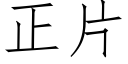 正片 (仿宋矢量字庫)