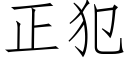 正犯 (仿宋矢量字庫)