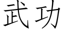 武功 (仿宋矢量字庫)