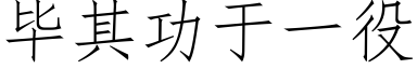 毕其功于一役 (仿宋矢量字库)