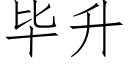 畢升 (仿宋矢量字庫)