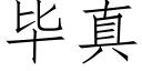 毕真 (仿宋矢量字库)