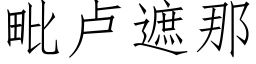 毗盧遮那 (仿宋矢量字庫)