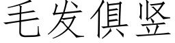 毛发俱竖 (仿宋矢量字库)