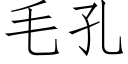 毛孔 (仿宋矢量字库)