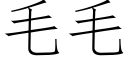 毛毛 (仿宋矢量字庫)