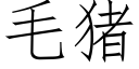 毛猪 (仿宋矢量字库)