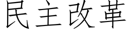 民主改革 (仿宋矢量字库)