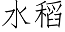 水稻 (仿宋矢量字库)