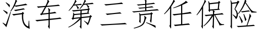 汽车第三责任保险 (仿宋矢量字库)