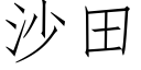 沙田 (仿宋矢量字庫)