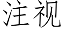 注視 (仿宋矢量字庫)