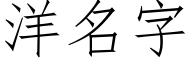 洋名字 (仿宋矢量字库)