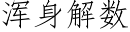 渾身解數 (仿宋矢量字庫)