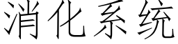 消化系统 (仿宋矢量字库)