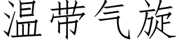 溫帶氣旋 (仿宋矢量字庫)