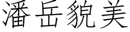 潘岳貌美 (仿宋矢量字库)