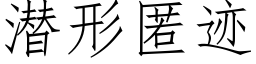 潜形匿迹 (仿宋矢量字库)