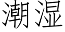 潮濕 (仿宋矢量字庫)