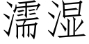 濡濕 (仿宋矢量字庫)