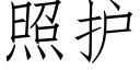 照护 (仿宋矢量字库)