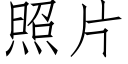 照片 (仿宋矢量字庫)