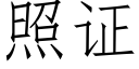 照证 (仿宋矢量字库)