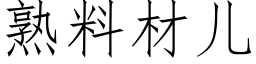 熟料材儿 (仿宋矢量字库)