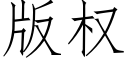 版权 (仿宋矢量字库)