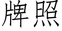 牌照 (仿宋矢量字庫)