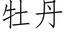 牡丹 (仿宋矢量字庫)