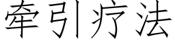 牽引療法 (仿宋矢量字庫)