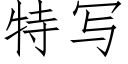 特寫 (仿宋矢量字庫)