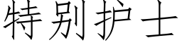 特别护士 (仿宋矢量字库)