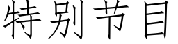 特别节目 (仿宋矢量字库)