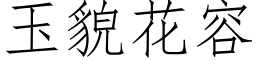 玉貌花容 (仿宋矢量字庫)