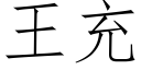 王充 (仿宋矢量字庫)