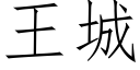 王城 (仿宋矢量字庫)