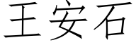 王安石 (仿宋矢量字库)