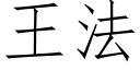 王法 (仿宋矢量字库)