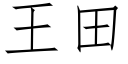 王田 (仿宋矢量字庫)