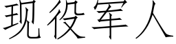 现役军人 (仿宋矢量字库)