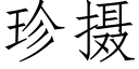 珍攝 (仿宋矢量字庫)